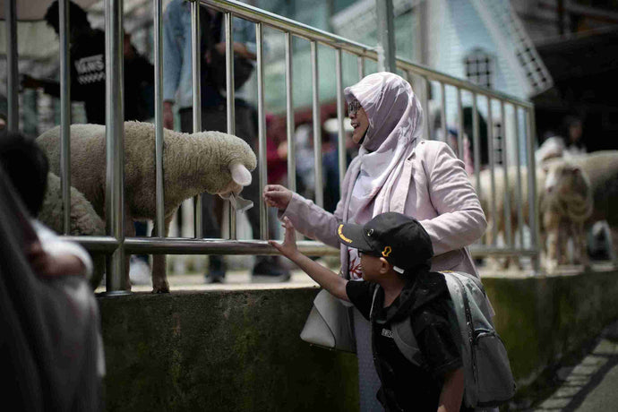 Stop Being a Guilty Muslim Mom